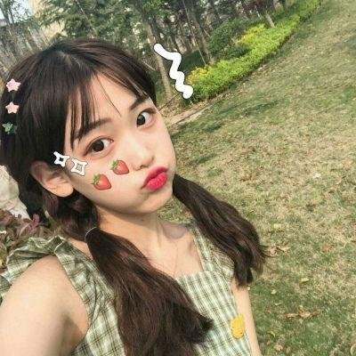 宝琳历险记